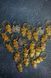 Кільця совушки 00КС7 фото 1