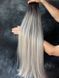 Пряме волосся на тресах GLADYS #OMBRE GREY 65см  0TOMBREGRAY фото 1