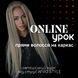 ONLINE КУРС Пряме волосся на каркас 00ONПВ фото 1